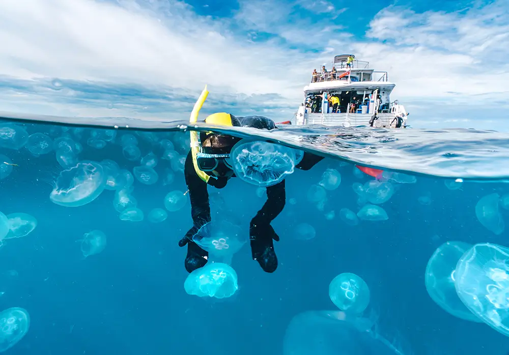 The best snorkeling in the world