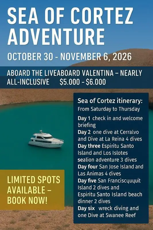 Sea of Cortez scuba